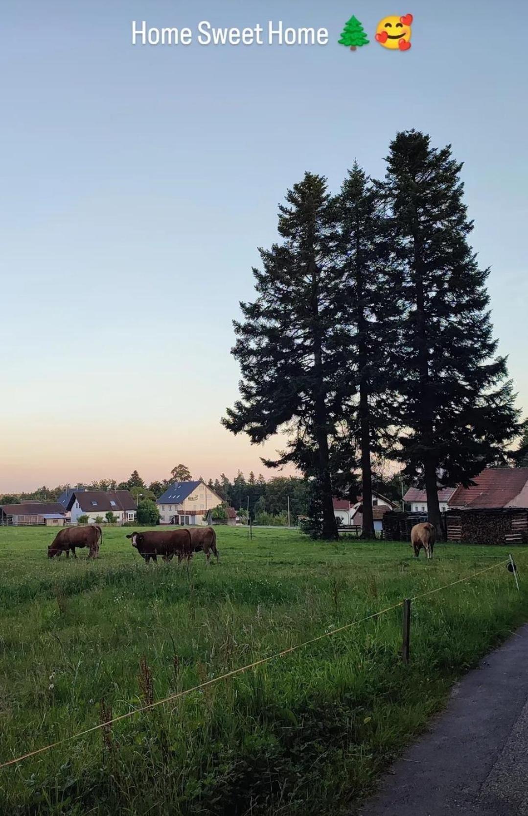 Chickenhill Blackforest, Grosse Ferienwohnung Im Schwarzwald Bad Wildbad Eksteriør billede