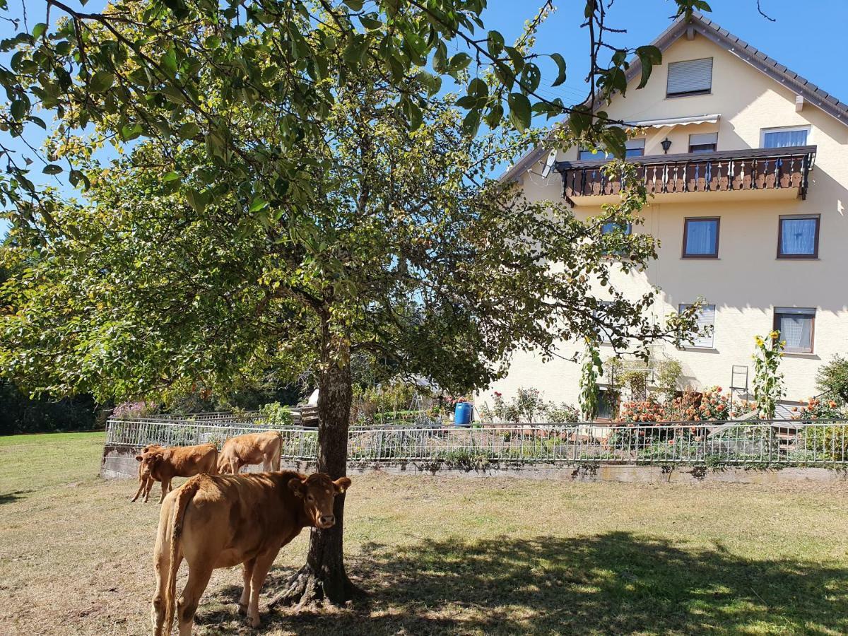 Chickenhill Blackforest, Grosse Ferienwohnung Im Schwarzwald Bad Wildbad Eksteriør billede
